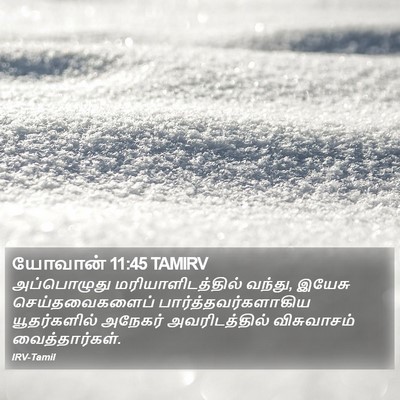 யோவான் 11:45 TAMIRV Bible Verse Image