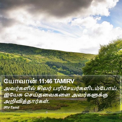 யோவான் 11:46 TAMIRV Bible Verse Image