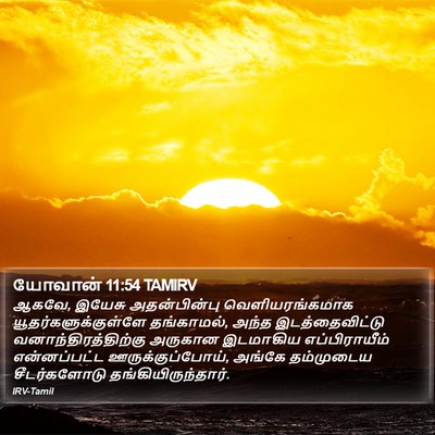 யோவான் 11:54 TAMIRV Bible Verse Image