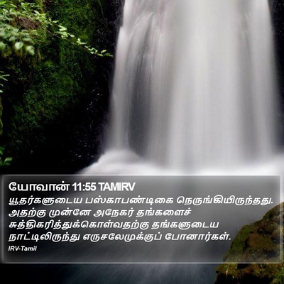 யோவான் 11:55 TAMIRV Bible Verse Image
