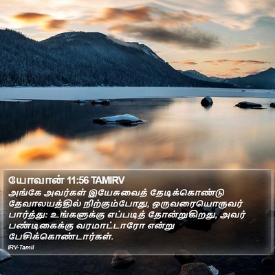 யோவான் 11:56 TAMIRV Bible Verse Image