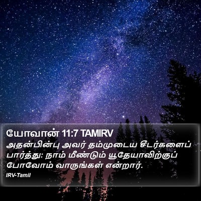 யோவான் 11:7 TAMIRV Bible Verse Image