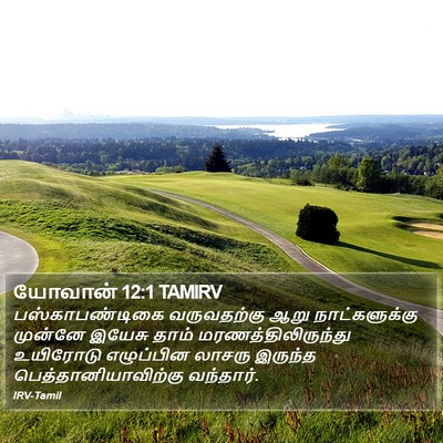 யோவான் 12:1 TAMIRV Bible Verse Image