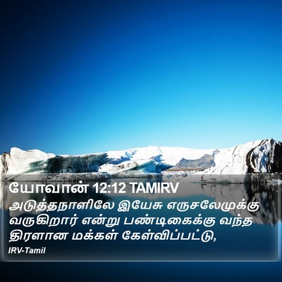 யோவான் 12:12 TAMIRV Bible Verse Image