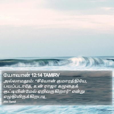 யோவான் 12:14 TAMIRV Bible Verse Image