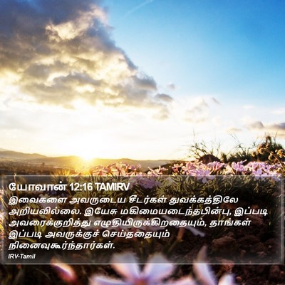 யோவான் 12:16 TAMIRV Bible Verse Image
