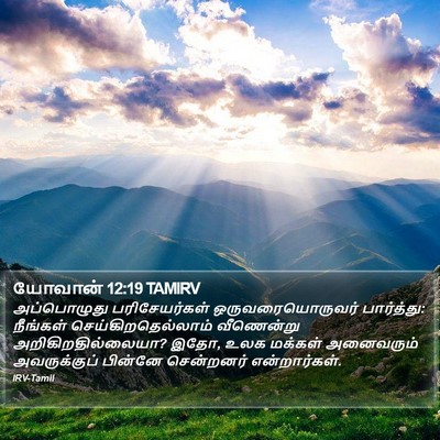 யோவான் 12:19 TAMIRV Bible Verse Image