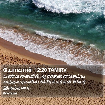 யோவான் 12:20 TAMIRV Bible Verse Image