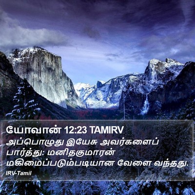 யோவான் 12:23 TAMIRV Bible Verse Image