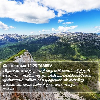 யோவான் 12:28 TAMIRV Bible Verse Image