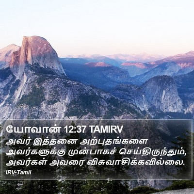 யோவான் 12:37 TAMIRV Bible Verse Image