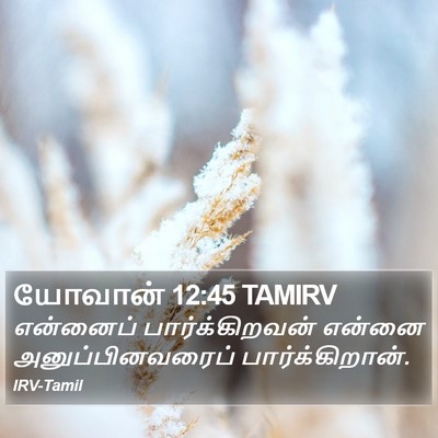 யோவான் 12:45 TAMIRV Bible Verse Image