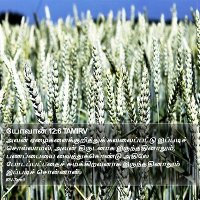 யோவான் 12:6 TAMIRV Bible Verse Image