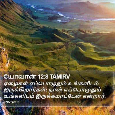 யோவான் 12:8 TAMIRV Bible Verse Image
