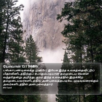யோவான் 13:1 TAMIRV Bible Verse Image