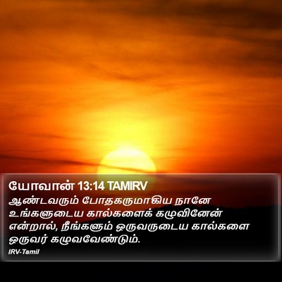 யோவான் 13:14 TAMIRV Bible Verse Image