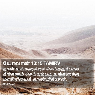 யோவான் 13:15 TAMIRV Bible Verse Image