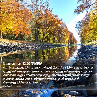 யோவான் 13:20 TAMIRV Bible Verse Image
