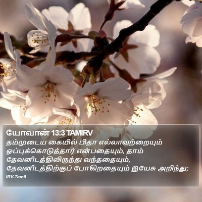 யோவான் 13:3 TAMIRV Bible Verse Image