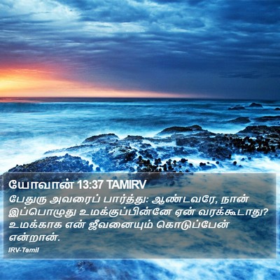 யோவான் 13:37 TAMIRV Bible Verse Image