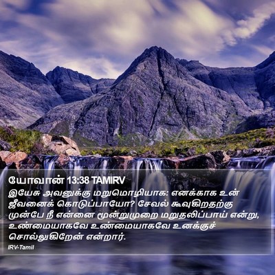 யோவான் 13:38 TAMIRV Bible Verse Image