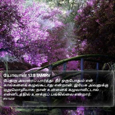 யோவான் 13:8 TAMIRV Bible Verse Image