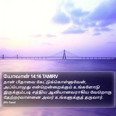 யோவான் 14:16 TAMIRV Bible Verse Image
