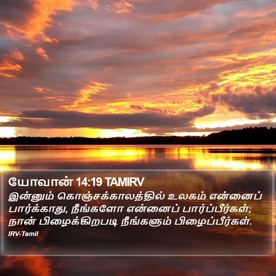 யோவான் 14:19 TAMIRV Bible Verse Image