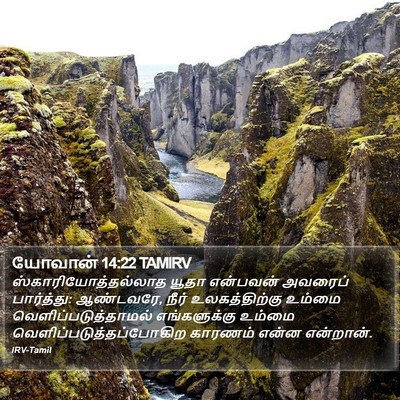 யோவான் 14:22 TAMIRV Bible Verse Image
