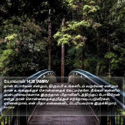 யோவான் 14:28 TAMIRV Bible Verse Image