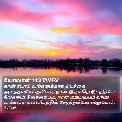 யோவான் 14:3 TAMIRV Bible Verse Image