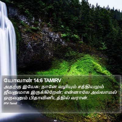யோவான் 14:6 TAMIRV Bible Verse Image