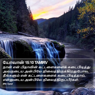 யோவான் 15:10 TAMIRV Bible Verse Image