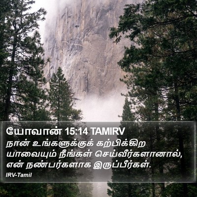 யோவான் 15:14 TAMIRV Bible Verse Image
