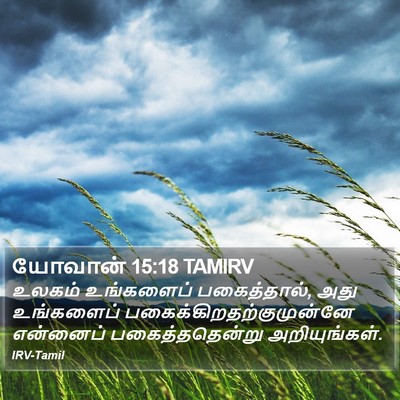 யோவான் 15:18 TAMIRV Bible Verse Image
