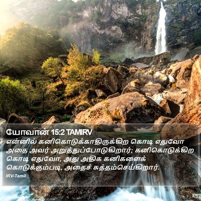 யோவான் 15:2 TAMIRV Bible Verse Image