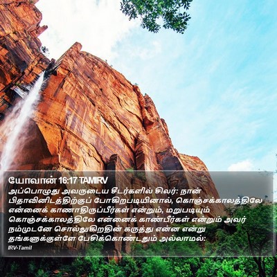 யோவான் 16:17 TAMIRV Bible Verse Image