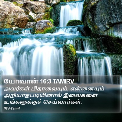 யோவான் 16:3 TAMIRV Bible Verse Image