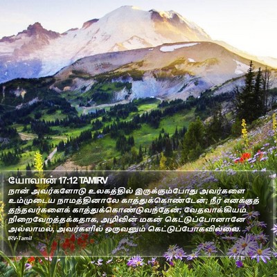 யோவான் 17:12 TAMIRV Bible Verse Image