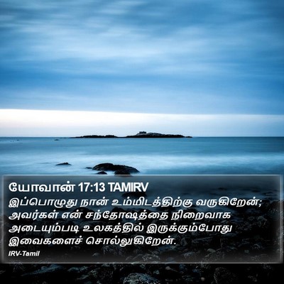 யோவான் 17:13 TAMIRV Bible Verse Image
