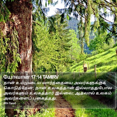 யோவான் 17:14 TAMIRV Bible Verse Image