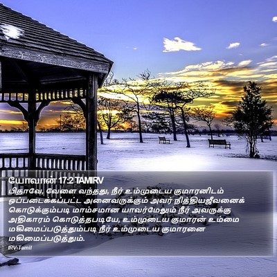 யோவான் 17:2 TAMIRV Bible Verse Image