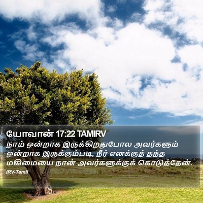யோவான் 17:22 TAMIRV Bible Verse Image