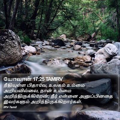 யோவான் 17:25 TAMIRV Bible Verse Image