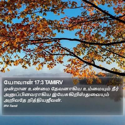 யோவான் 17:3 TAMIRV Bible Verse Image