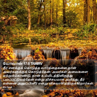 யோவான் 17:8 TAMIRV Bible Verse Image