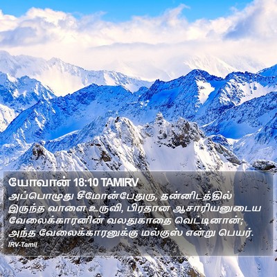 யோவான் 18:10 TAMIRV Bible Verse Image