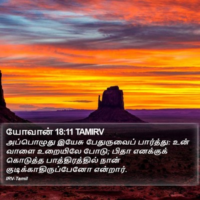 யோவான் 18:11 TAMIRV Bible Verse Image