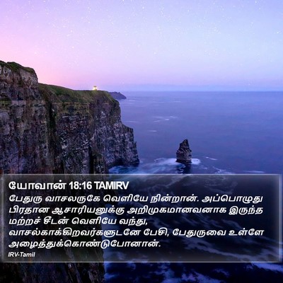யோவான் 18:16 TAMIRV Bible Verse Image