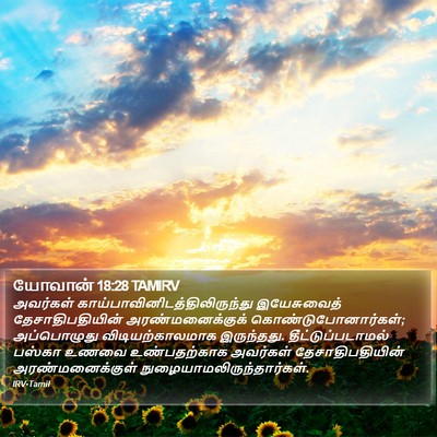 யோவான் 18:28 TAMIRV Bible Verse Image